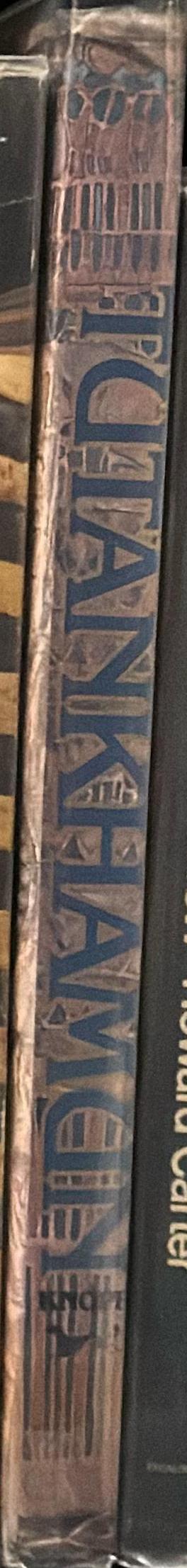 Factfulness : ten reasons we're wrong about the world - and why things are better than you think / Hans Rosling ; with Ola Rosling and Anna Rosling Rönnlund spine