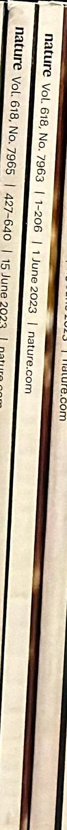 Art to date : Tuesday 03 December [2019] / Webb's spine