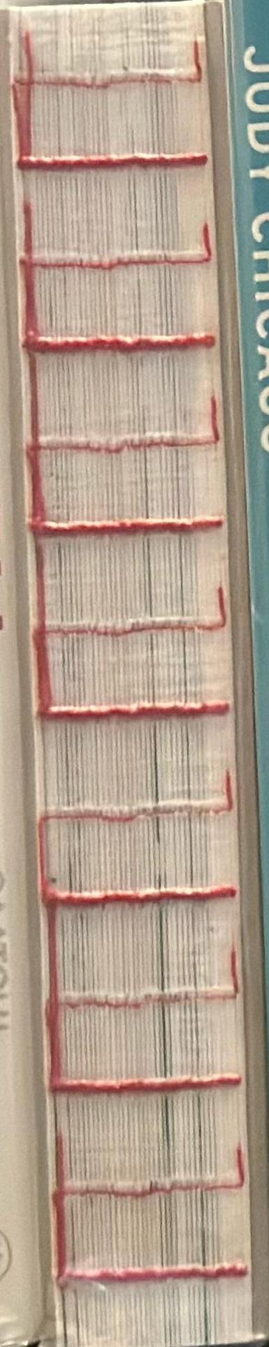 Chen Zhen : without going to New York and Paris, life could be internationalized / curator, Hou Hanru ; artistic consultant, Xu Min ; editor, Li Qi spine