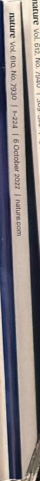 Joan Jonas : the shape, the scent, the feel of things / [edited by Karen Kelly] spine