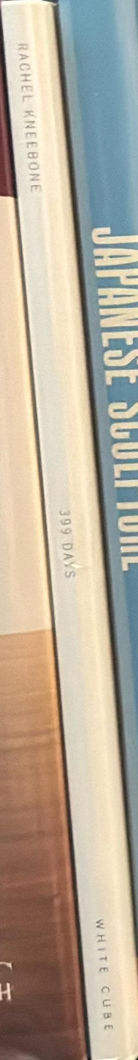 Rachel Kneebone : 399 days spine