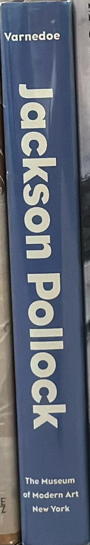 Jackson Pollock spine