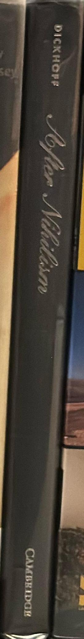 After nihilism : essays on contemporary art spine