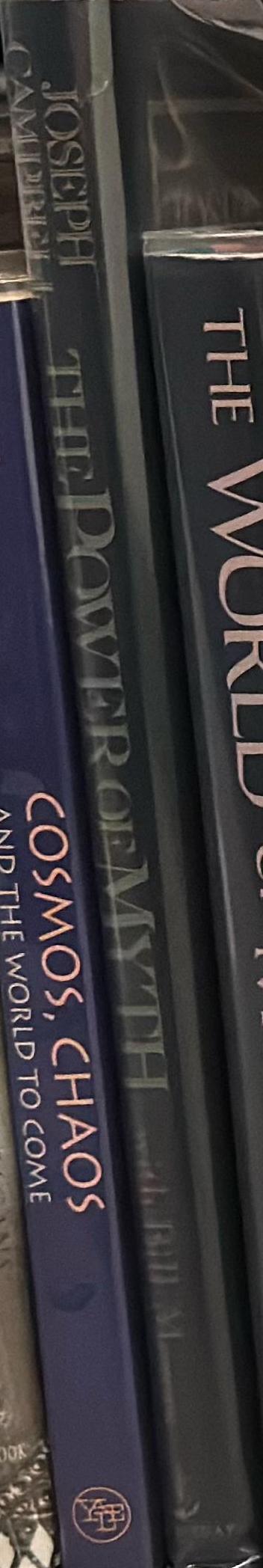 Barney, Beuys : all in the present must be transformed / Matthew Barney, Joseph Bays spine