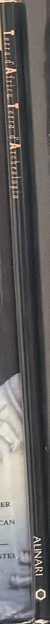 Terra d'Africa, terra d'archeologia : la grande scultura in terracotta del Mali : Djenne VIII-XVI sec / Bernardo Bernardi e Bernard Grunne spine