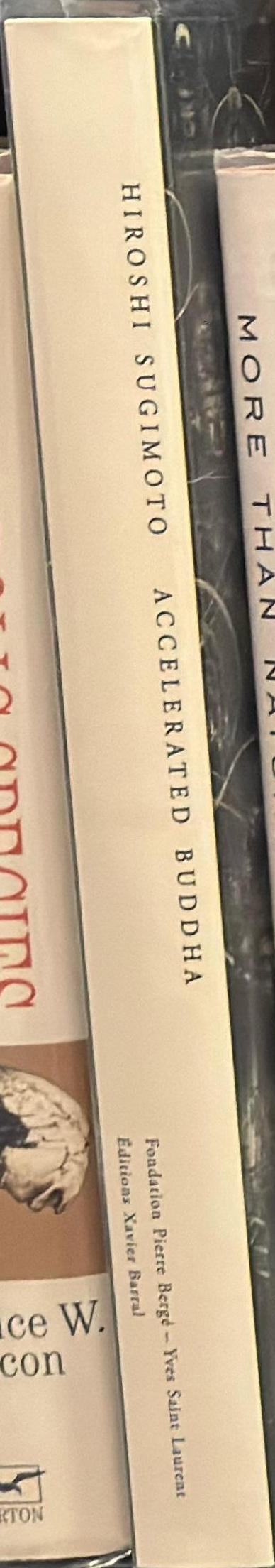 Hiroshi Sugimoto : accelerated Buddha spine