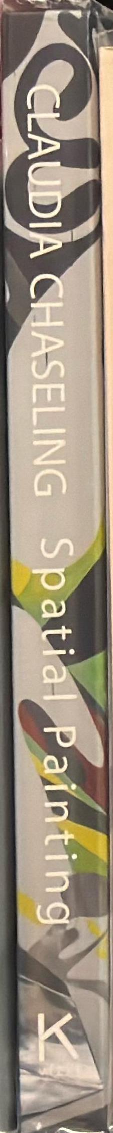 Claudia Chaseling : spatial painting / edited by Benedikt Stegmayer spine