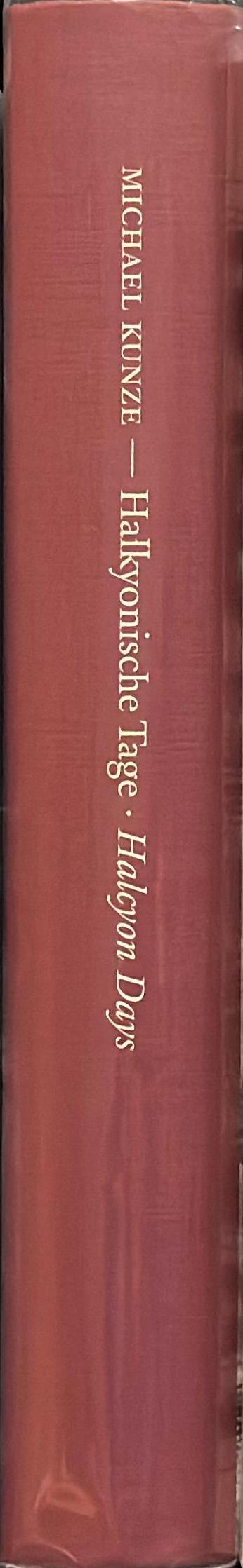 Michael Kunze : Halkyonische Tage = halcyon days / with texts by Gregor Jansen and Udo Kittelmann ; John C. Welchman ; Zdenek Felix spine