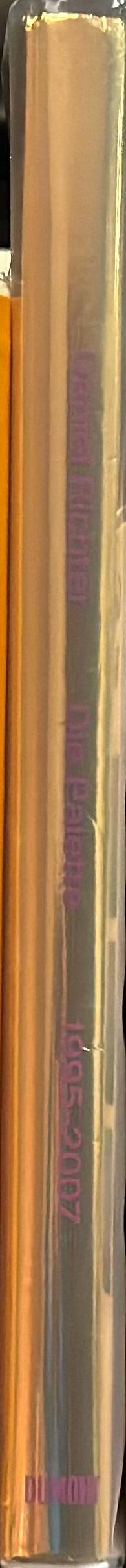 Daniel Richter : die palette 1995-2007 spine