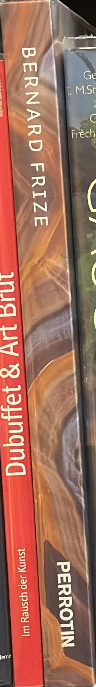 Bernard Frize / [texts by Jean-Pierre Criqui ; Suzanne Hudson] spine