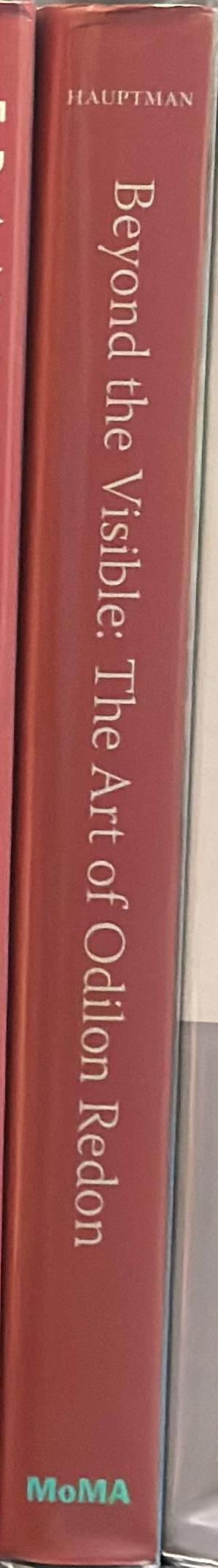Beyond the visible : the art of Odilon Redon spine