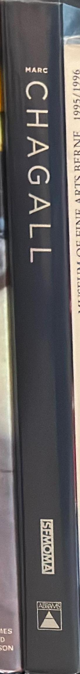 Marc Chagall : the Jerusalem windows spine