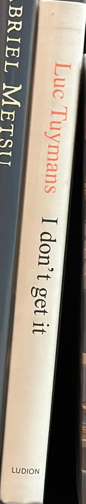 Luc Tuymans : I don't get it spine