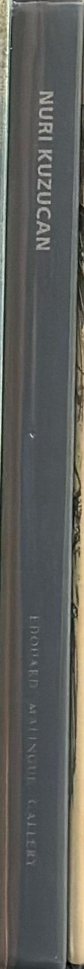 Nuri Kuzucan : ISTHK | HKIST spine