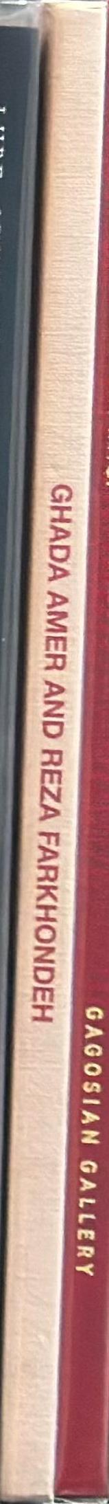 Ghada Amer : le salon courbe : Ghada Maer and Reza Farkhondeh : an indigestible dessert spine