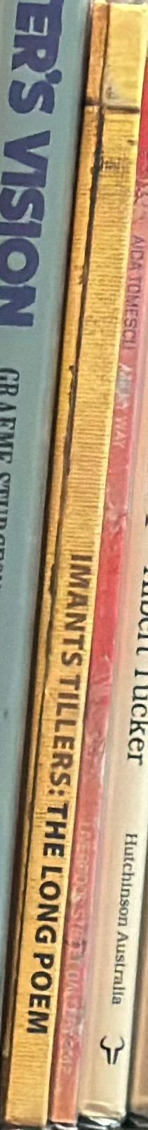 Imants Tillers : the long poem spine