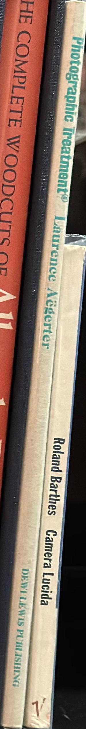 Photographic treatment / Laurence Aëgerter spine