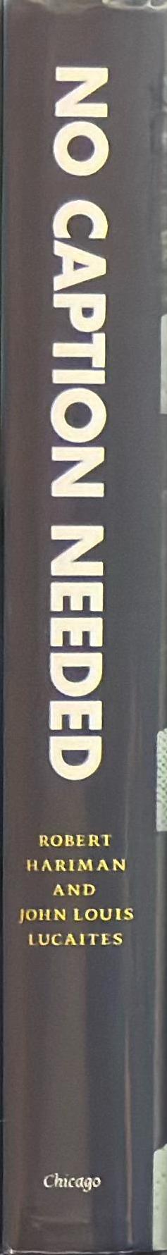 No caption needed : iconic photographs, public culture and liberal democracy spine