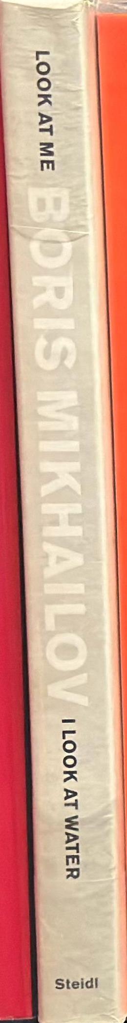 Boris Mikhailov : look at me I look at water : or perversion of repose spine