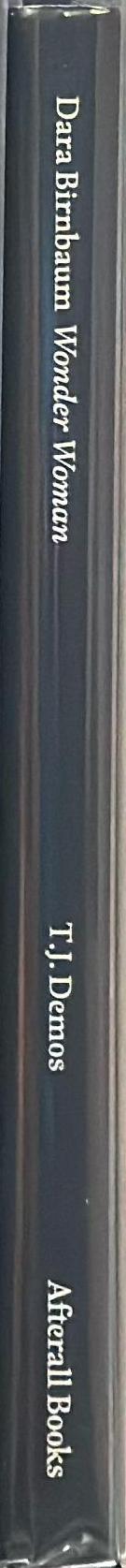 Dara Birnbaum : Technology/Transformation: Wonder Woman spine