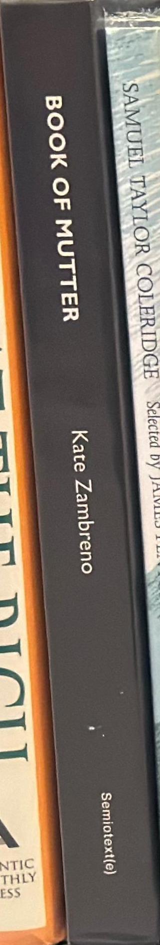 Book of mutter / Kate Zambreno spine