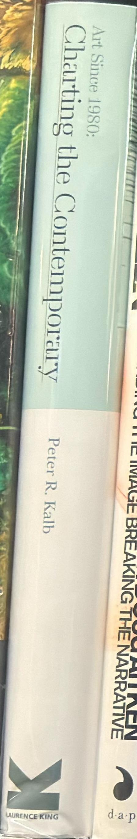 Art since 1980 : charting the contemporary / Peter R. Kalb spine