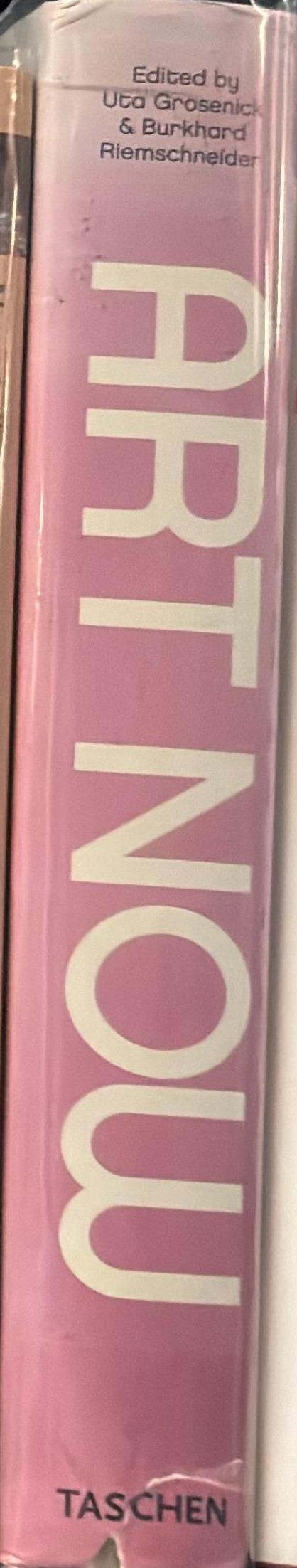 Art now : 137 artists at the rise of the new millennium spine