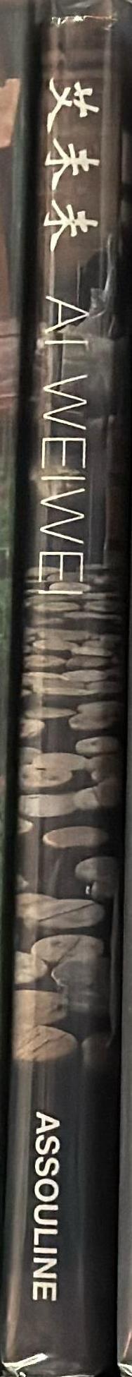 Ai Weiwei / Cristina Carrillo de Albornoz Fisac spine