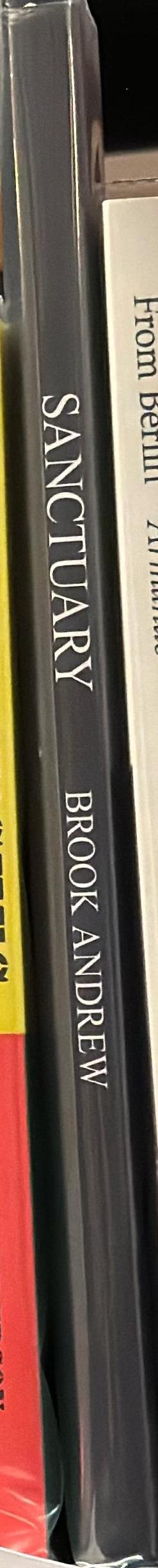 Sanctuary : tombs of the outcasts / Brook Andrew spine