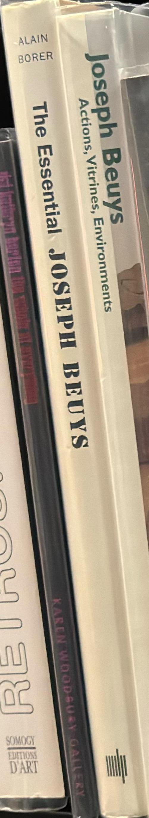 The essential Joseph Beuys spine