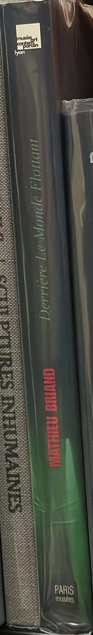 Mathieu Briand : derriere le monde flottant spine