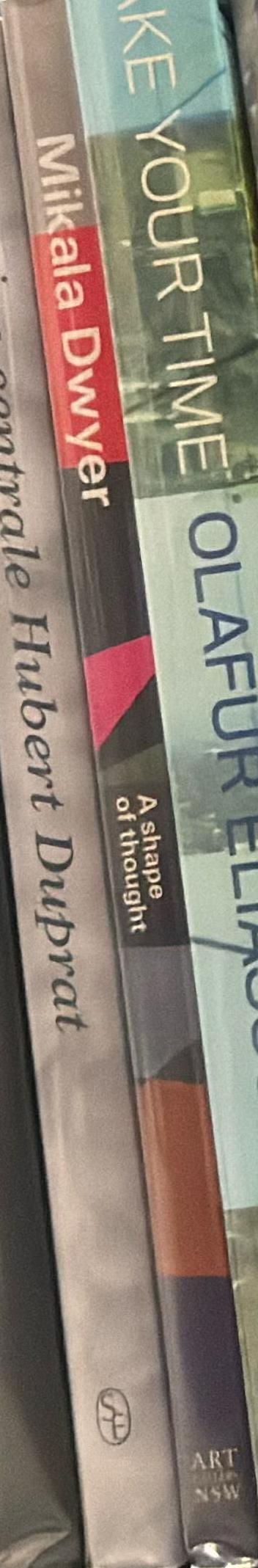 Mikala Dwyer : a shape of thought / Wayne Tunnicliffe with Susan Best and Helen Hughes spine