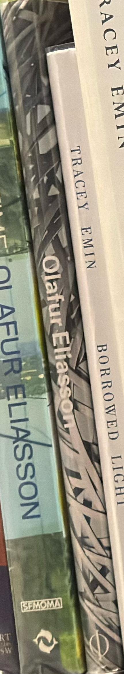 Olafur Eliasson spine