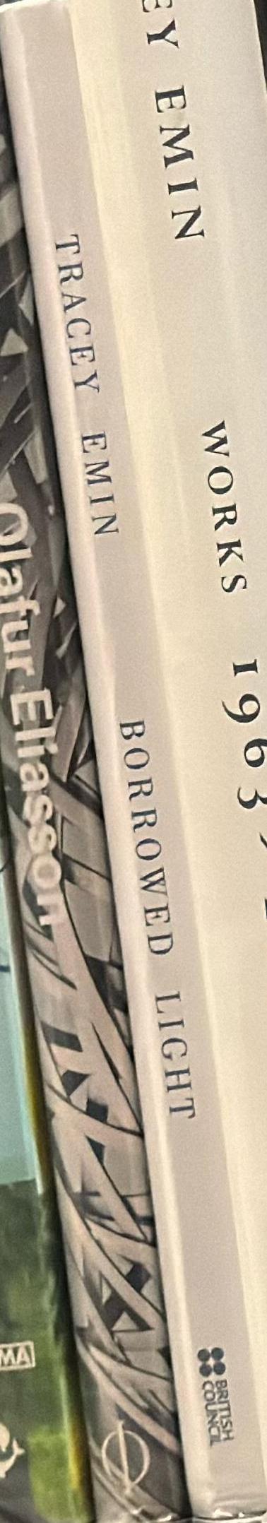 Tracey Emin : borrowed light spine