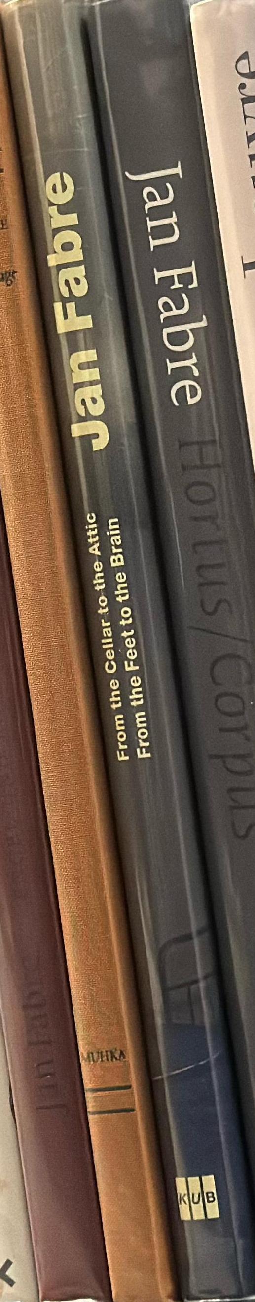 Jan Fabre : from the cellar to the attic, from the feet to the brain spine