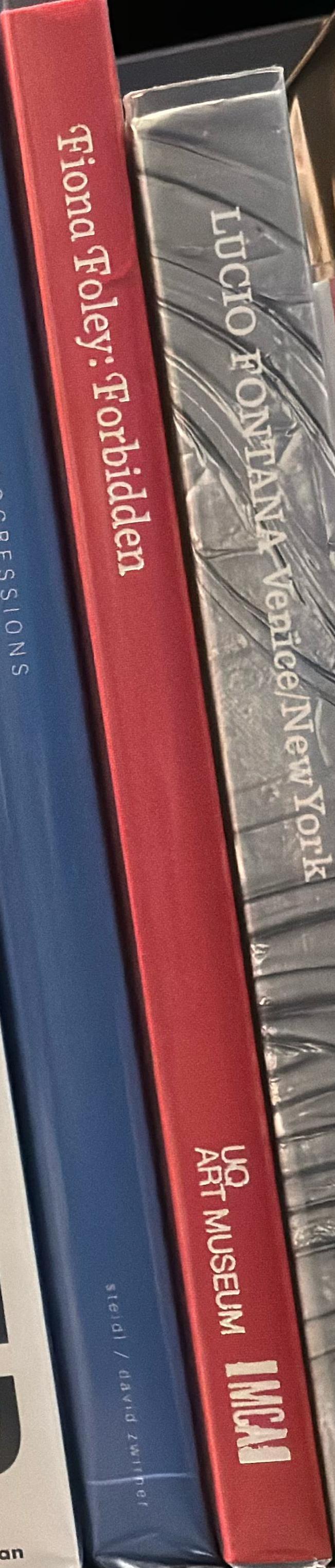 Fiona Foley : forbidden spine