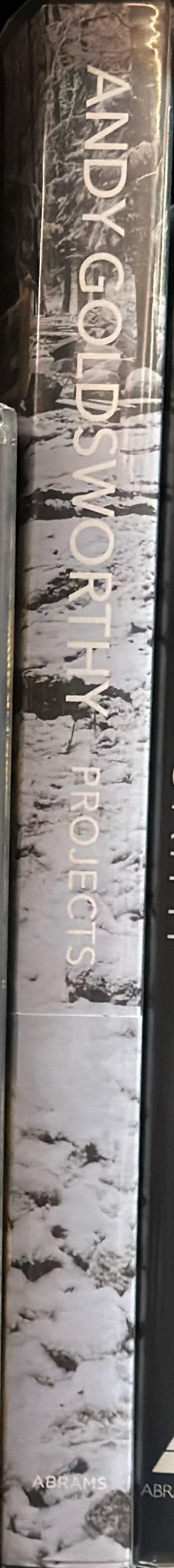 Andy Goldsworthy : projects spine