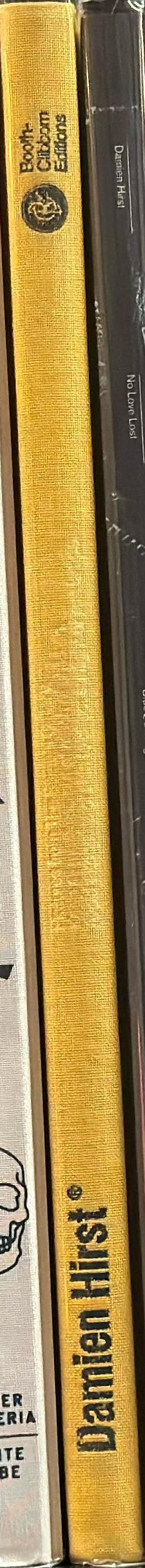 Damien Hirst : pictures from the Saatchi Gallery spine