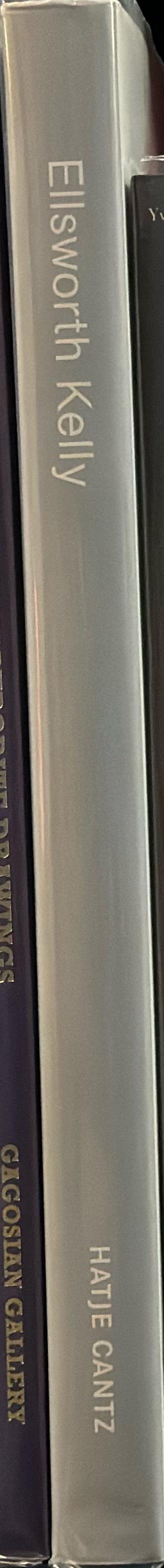 Ellsworth Kelly : Zwischen-Räume, Werke 1956-2002 = in-between spaces, works 1956-2002 / [With contributions by Gottfried Boehm, Ellsworth Kelly, Viola Weigel] spine