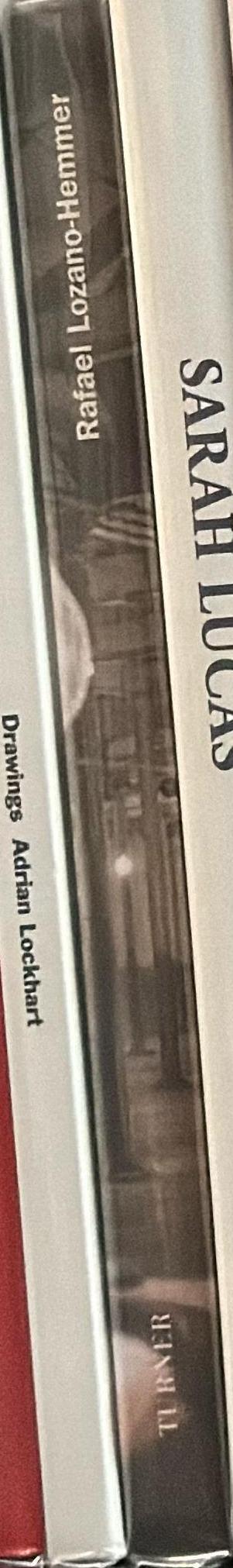 Rafael Lozano-Hemmer : subsculptures : a dialogue between José Luis Barrios and Rafael Lozano-Hemmer spine