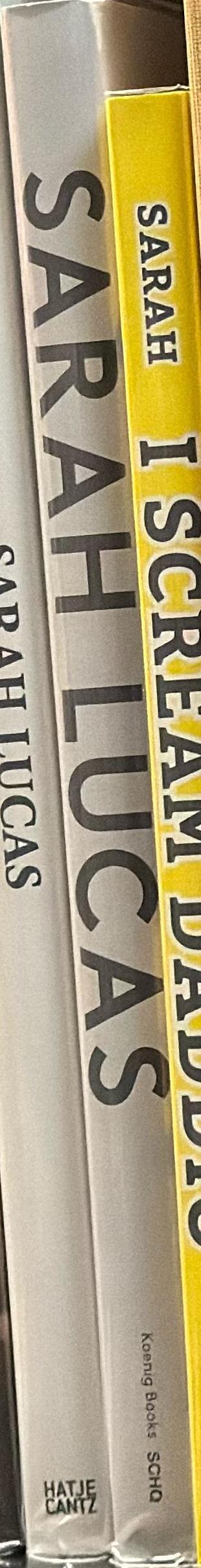 Sarah Lucas : after 2005, before 2012 spine