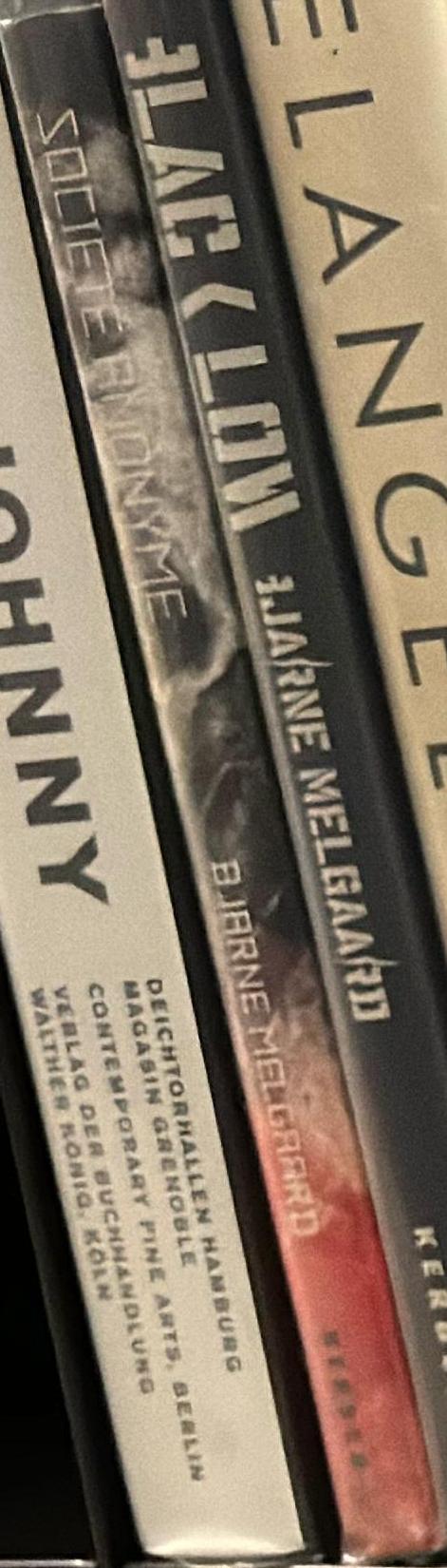 Bjarne Melgaard : societe anonyme [Interface to God] spine