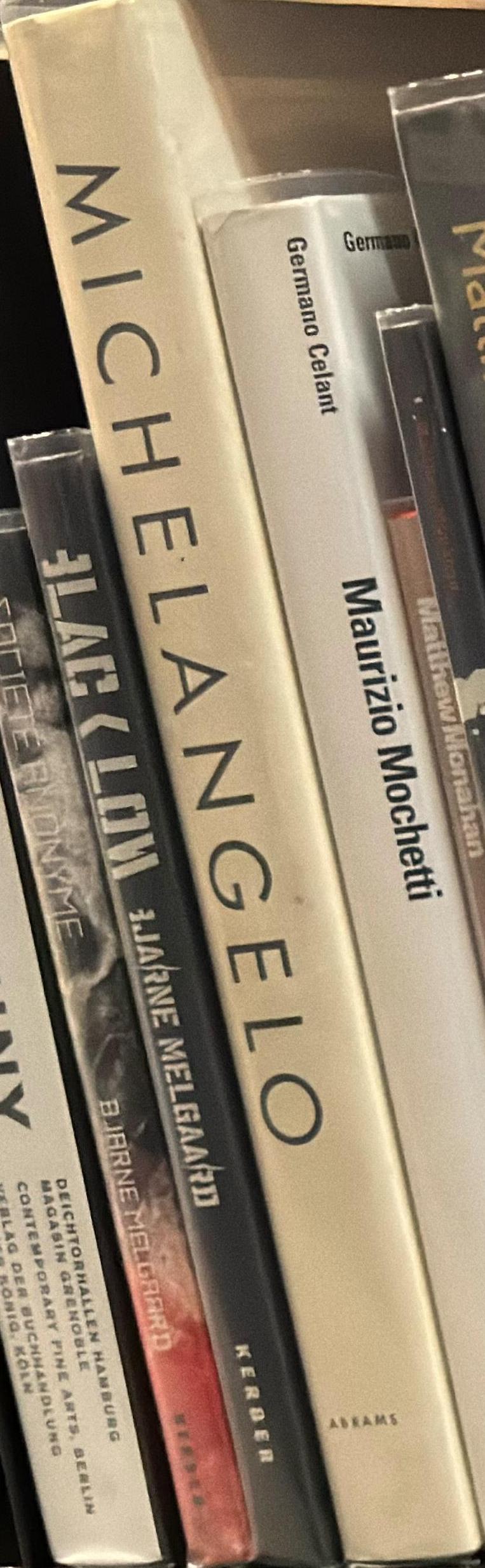 Michelangelo : Michelangelo Buonarroti spine