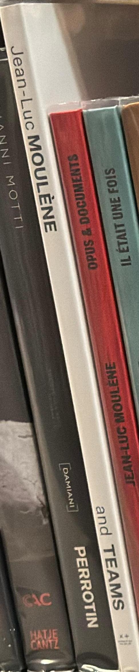 Jean-Luc Moulène and Teams / [foreword by Trudi Brinckman ; contributions by Jane Clark and 3 others] spine