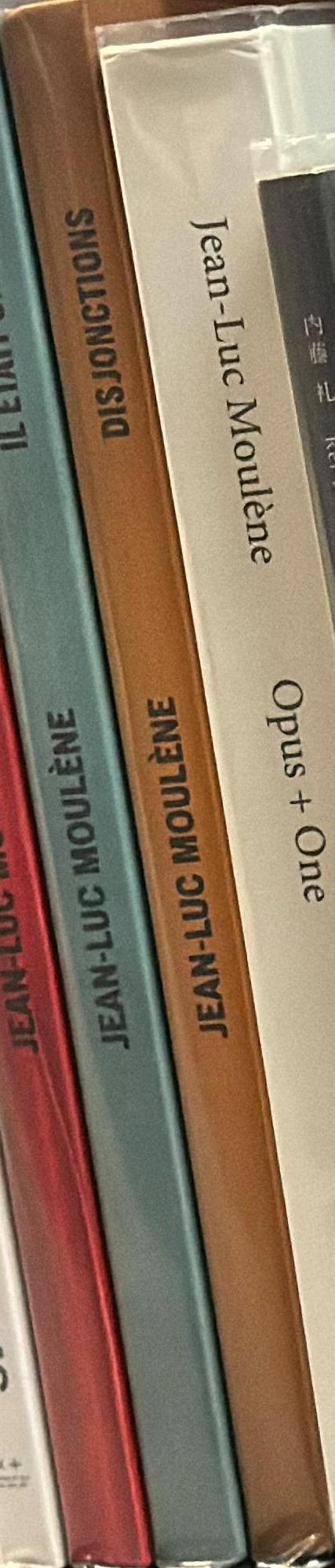 Disjonctions / Jean-Luc Moulène spine