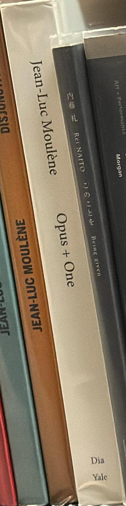 Jean-Luc Moulène : opus + one / edited by Yasmil Raymond spine