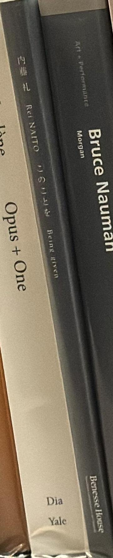 Rei Naito : being given spine