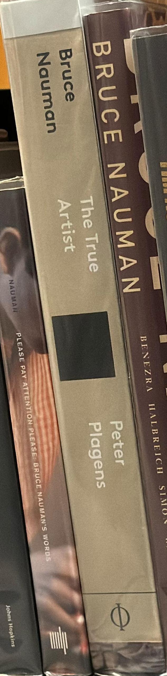 Bruce Nauman : the true artist / Peter Plagens spine