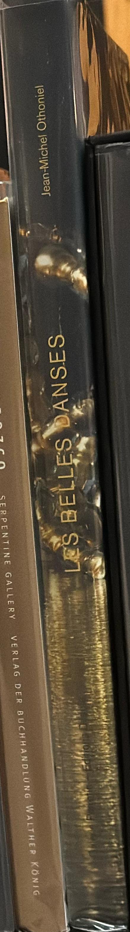 Les belles danses : Versailles, in the Water Theater Grove redesigned by Louis Benech / Jean-Michel Othoniel ; text, Robert Storr spine