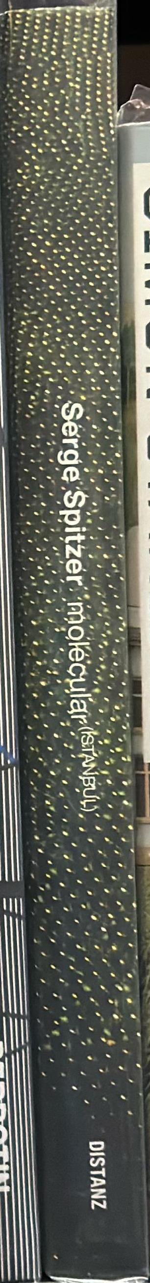 Serge Spitzer : molecular (Istanbul) spine